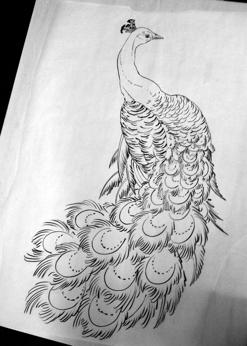 Peacock Back Tattoo For Girl Designs 121